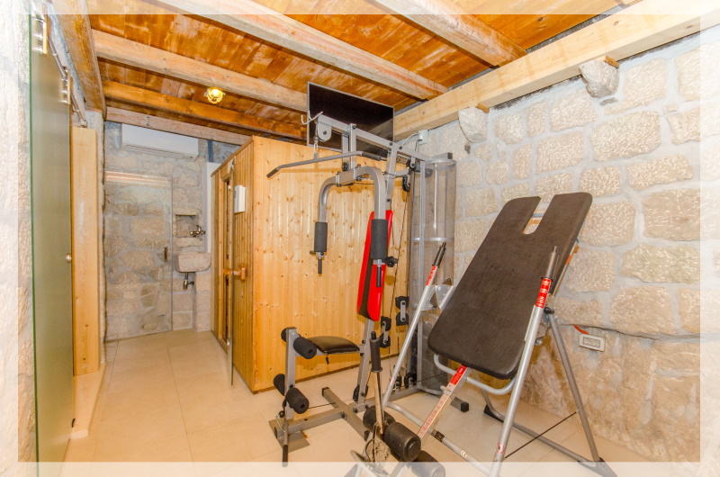 Rustic sauna, jacuzzi & gym